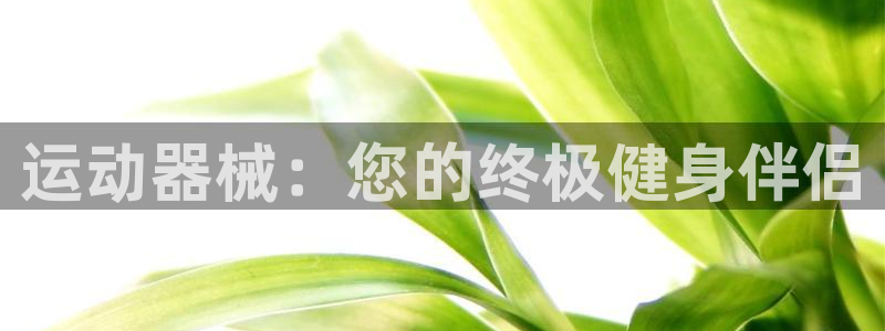 尊龙集团：运动器械：您的终极健身伴侣