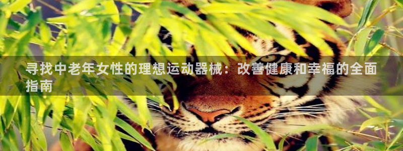 z6尊龙凯时旗舰厅首页：寻找中老年女性的理想运动器械