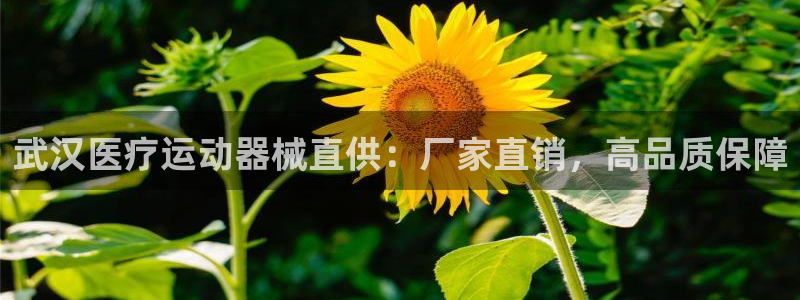 尊龙人生就是博l：武汉医疗运动器械直供：厂家直销，高