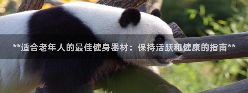 尊龙凯时口碑好吗：**适合老年人的最佳健身器材：保持