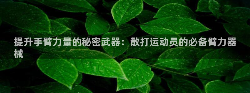 凯时官网：提升手臂力量的秘密武器：散打运动员的必备臂