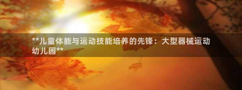 尊龙凯时取款不成功：**儿童体能与运动技能培养的先锋