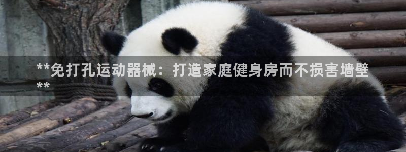 尊龙人生就是一博!：**免打孔运动器械：打造家庭健身