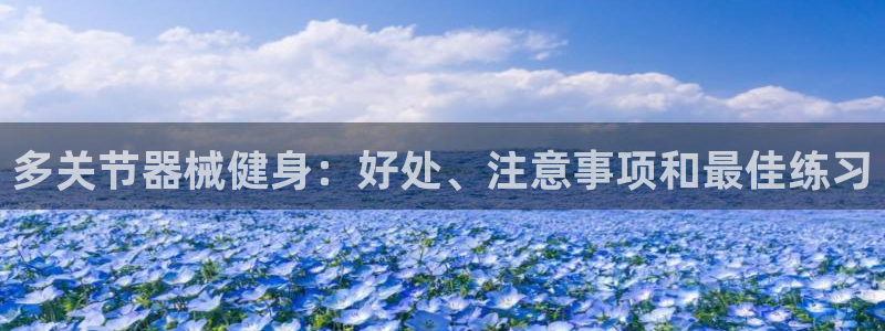 尊龙凯时官方下载：多关节器械健身：好处、注意事项和最