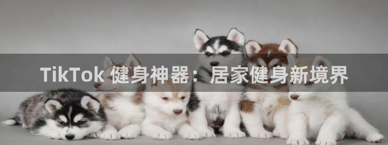 尊龙平台有谁玩过