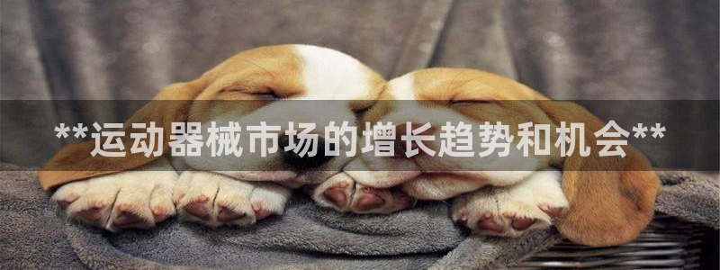 尊龙凯时为什么输了钱：**运动器械市场的增长趋势和机