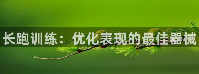 尊龙人生就要博旧版：长跑训练：优化表现的最佳器械