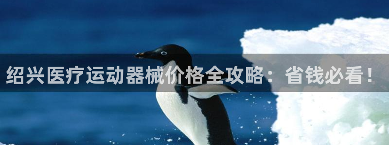 ZL尊龙凯时平台：绍兴医疗运动器械价格全攻略：省钱必