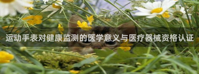 尊龙凯时法充十万返现多少：运动手表对健康监测的医学意
