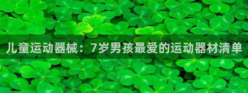 尊龙凯时平台信誉怎样：儿童运动器械：7岁男孩最爱的运