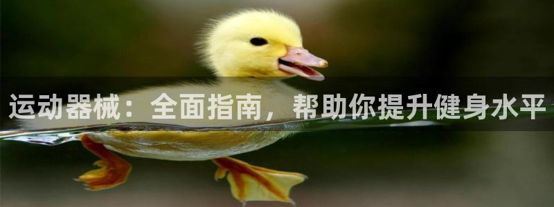 怎样能成为尊龙凯时平台的会员：运动器械：全面指南，帮