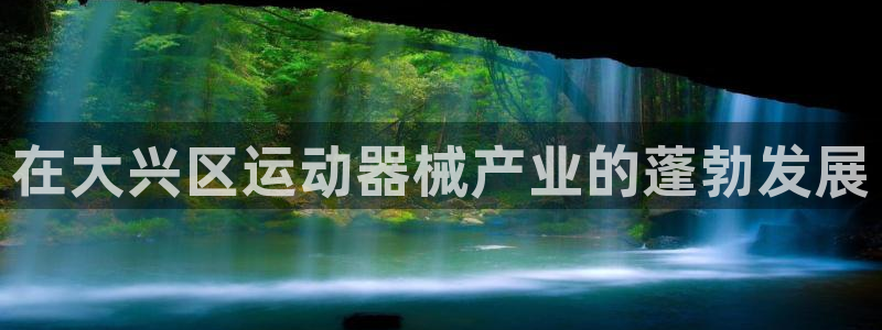 尊龙凯时账号异常审核提不了款怎么办：在大兴区运动器械