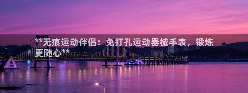 尊龙凯时不朽情缘：**无痕运动伴侣：免打孔运动器械手