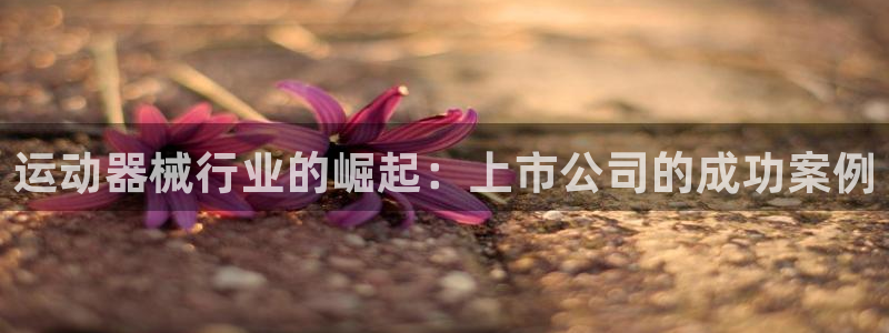 尊龙2020：运动器械行业的崛起：上市公司的成功案例