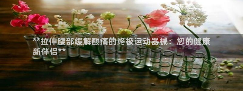 尊龙凯时网页版：**拉伸腰部缓解酸痛的终极运动器械：