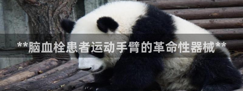 尊龙 10：**脑血栓患者运动手臂的革命性器械**