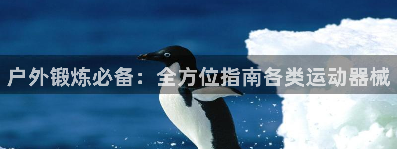 尊龙物流怎么样：户外锻炼必备：全方位指南各类运动器械