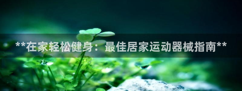 凯时APP官网首页：**在家轻松健身：最佳居家运动器