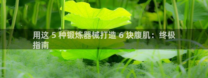凯时国际平台有人赢吗：用这 5 种锻炼器械打造 6 