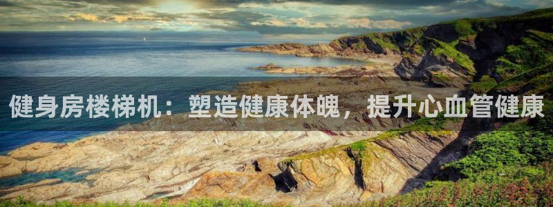 尊龙新版app：健身房楼梯机：塑造健康体魄，提升心血