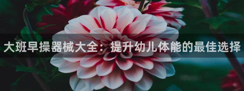 尊龙凯时人生就是博游戏网站：大班早操器械大全：提升幼