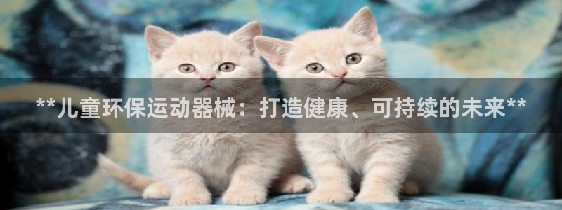 尊龙贴吧：**儿童环保运动器械：打造健康、可持续的未