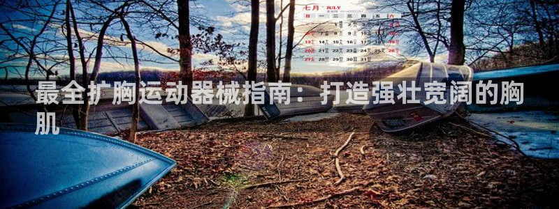 凯时旗舰厅App下载：最全扩胸运动器械指南：打造强壮