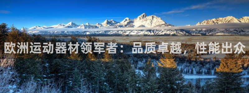 尊龙实业 吴友良：欧洲运动器材领军者：品质卓越，性能