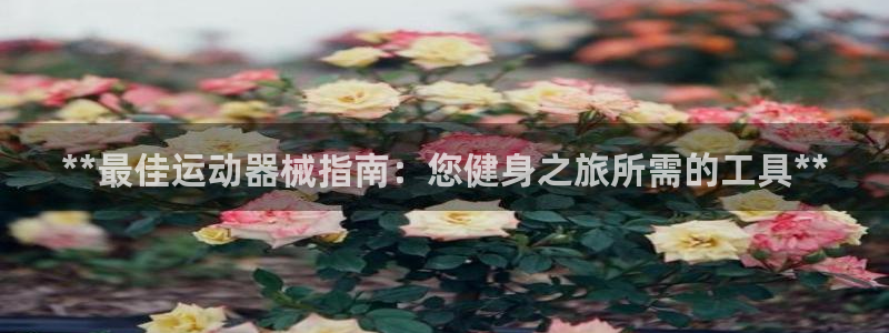 凯时登录界面：**最佳运动器械指南：您健身之旅所需的