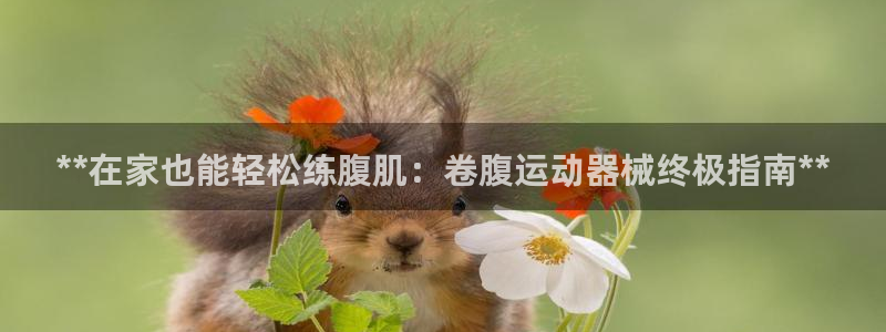 凯时国际最新：**在家也能轻松练腹肌：卷腹运动器械终