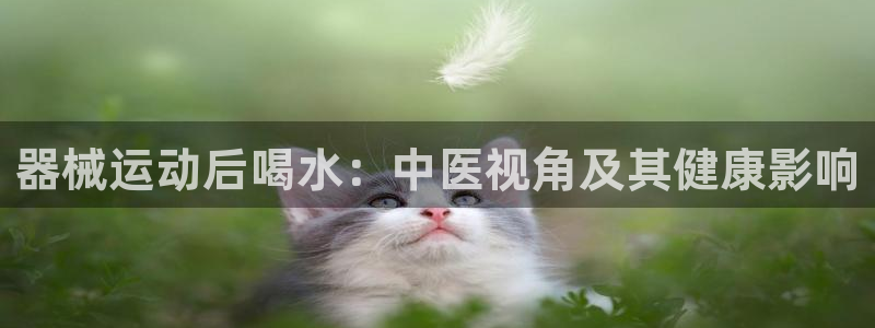 尊龙长相评价：器械运动后喝水：中医视角及其健康影响