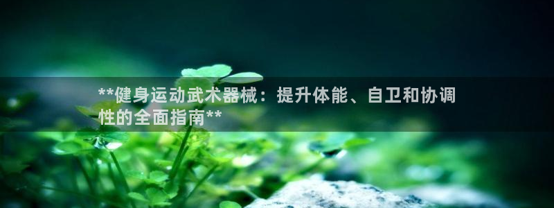 尊龙游戏官网：**健身运动武术器械：提升体能、自卫和
