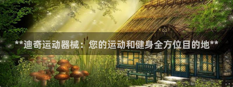 尊龙人生就是博旧：**迪奇运动器械：您的运动和健身全