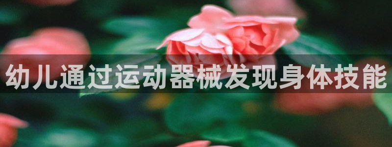尊龙凯时官方网站下载：幼儿通过运动器械发现身体技能
