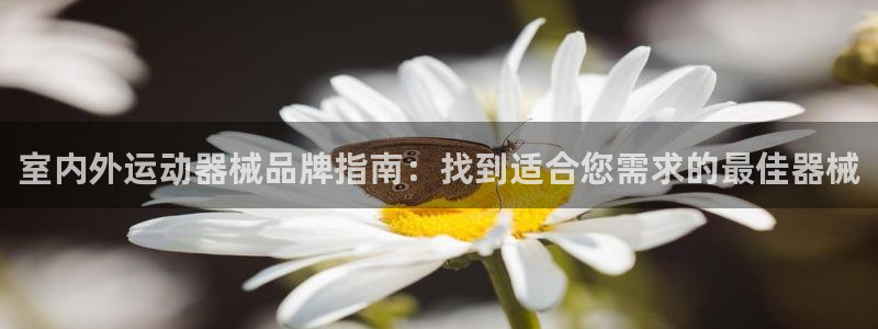 尊龙凯时最新平台登陆：室内外运动器械品牌指南：找到适