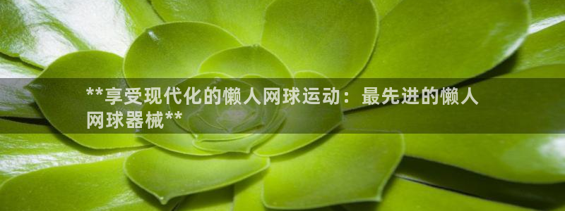 kb88凯时唯一官网注册：**享受现代化的懒人网球运