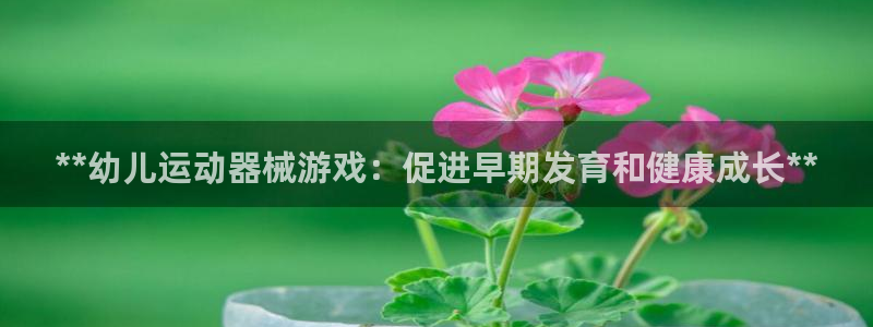 尊龙凯时赞助：**幼儿运动器械游戏：促进早期发育和健