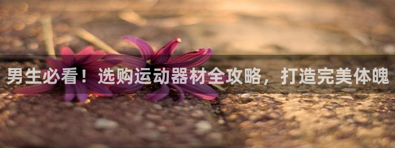 尊龙凯时导航菜单首页：男生必看！选购运动器材全攻略，