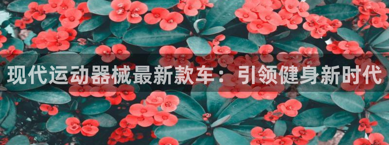 尊龙凯时集团：现代运动器械最新款车：引领健身新时代