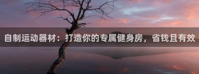 尊龙集团官网：自制运动器材：打造你的专属健身房，省钱
