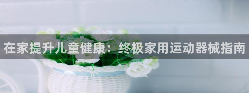 尊龙登录：在家提升儿童健康：终极家用运动器械指南