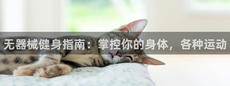 尊龙d88用现推选ag发财网