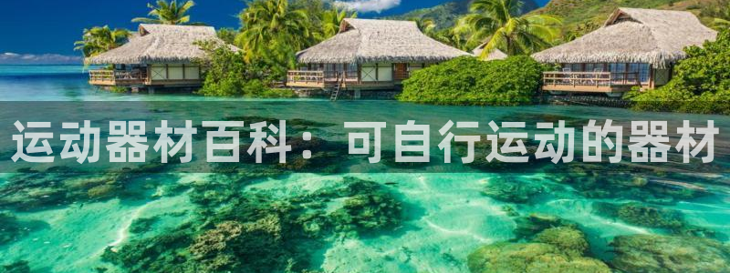 尊龙凯时 - 人生就是搏手机登录：运动器材百科：可自
