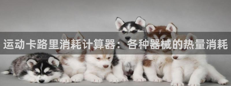 凯时官网下载客户端：运动卡路里消耗计算器：各种器械的