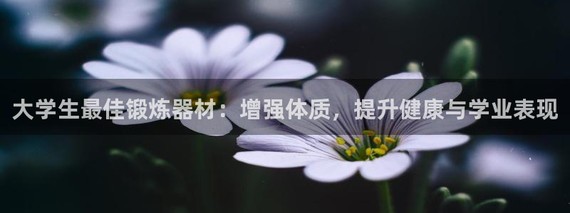 国际凯时ag优质运营商：大学生最佳锻炼器材：增强体质