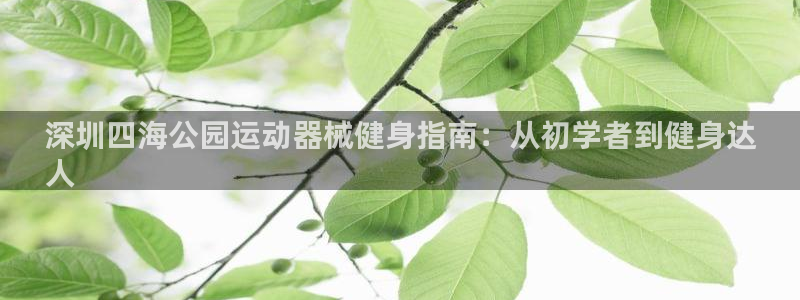 尊龙目前照片：深圳四海公园运动器械健身指南：从初学者