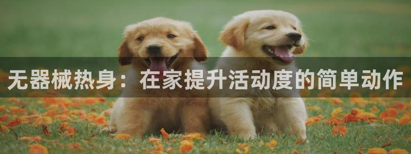 尊龙凯时人生就是博·(中国)官网：无器械热身：在家提