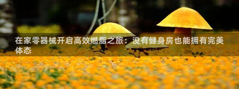 尊龙人生就是博D88：在家零器械开启高效燃脂之旅：没