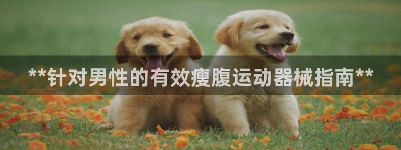 凯时平台登录：**针对男性的有效瘦腹运动器械指南**