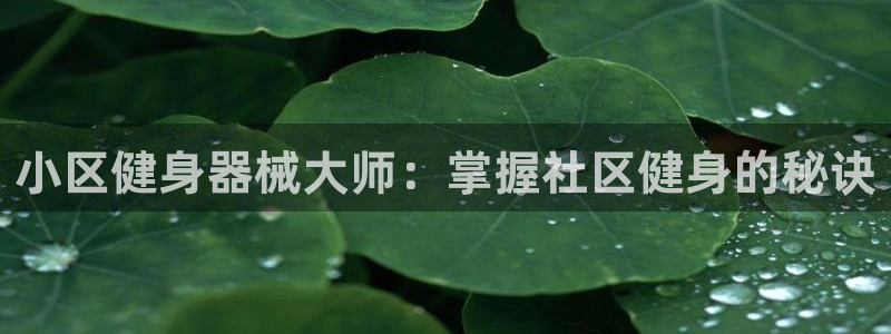 尊龙凯时人生就是博中国官网：小区健身器械大师：掌握社